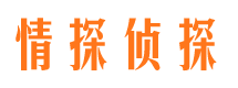 夏河侦探公司